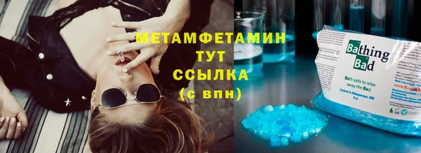 крисы Козловка