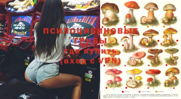 трава Кодинск