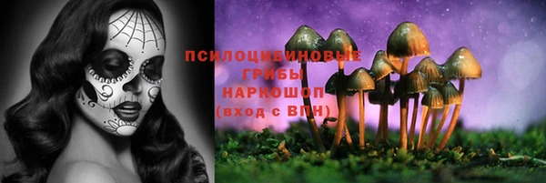 МДПВ Корсаков