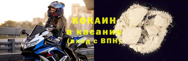 крисы Козловка