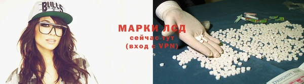 крисы Козловка