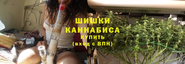 крисы Козловка