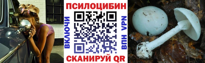 как найти закладки  shop телеграм  Псилоцибиновые грибы Cubensis  Слюдянка 